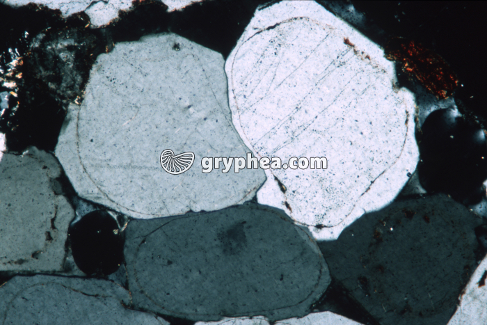 Grès vosgien LPA x16 - gryphea.com